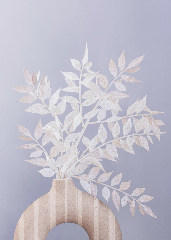 Ruscus | Leinwand