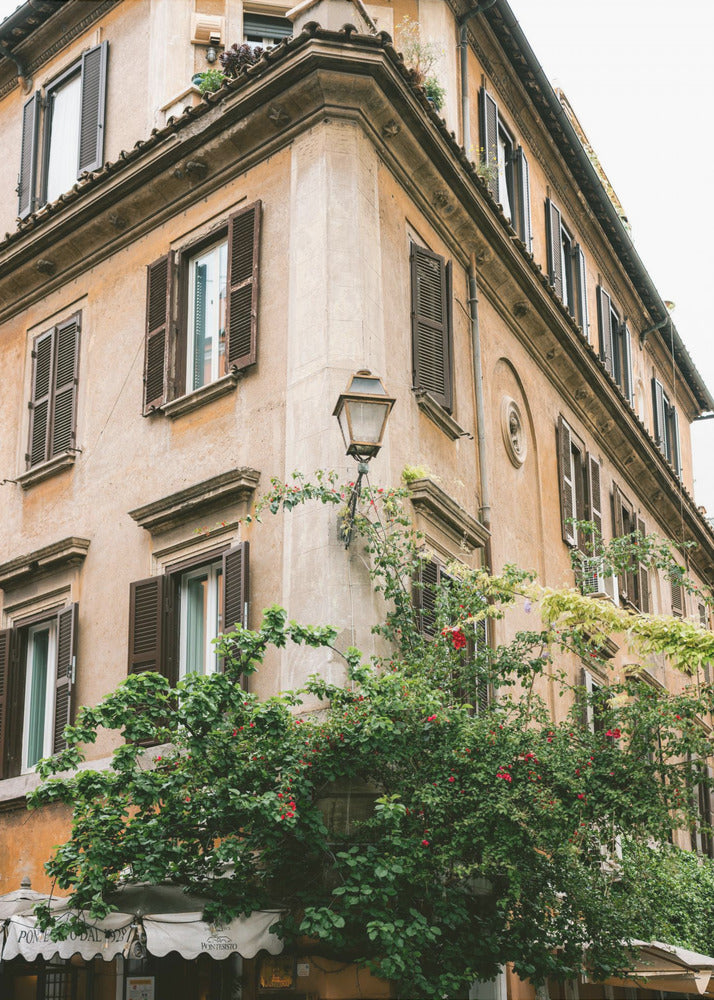 Botanisches Trastevere Rom || | Poster