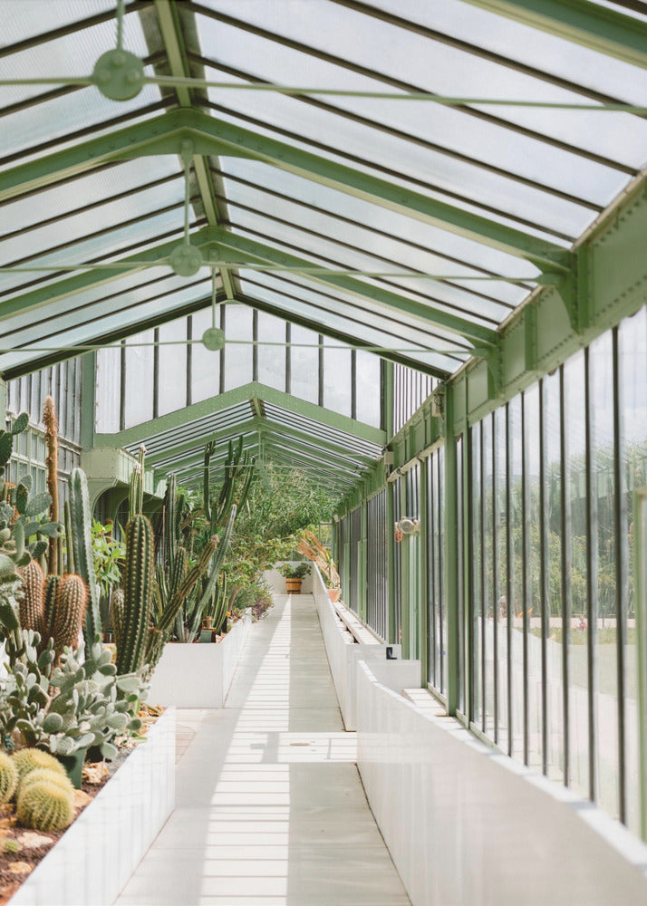 Botanischer Garten von Paris | Leinwand