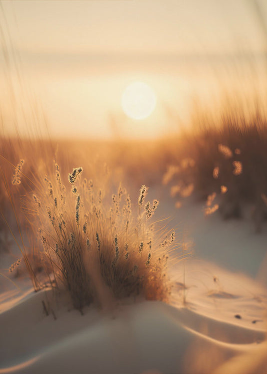 Golden Dune Whisper | Canvas