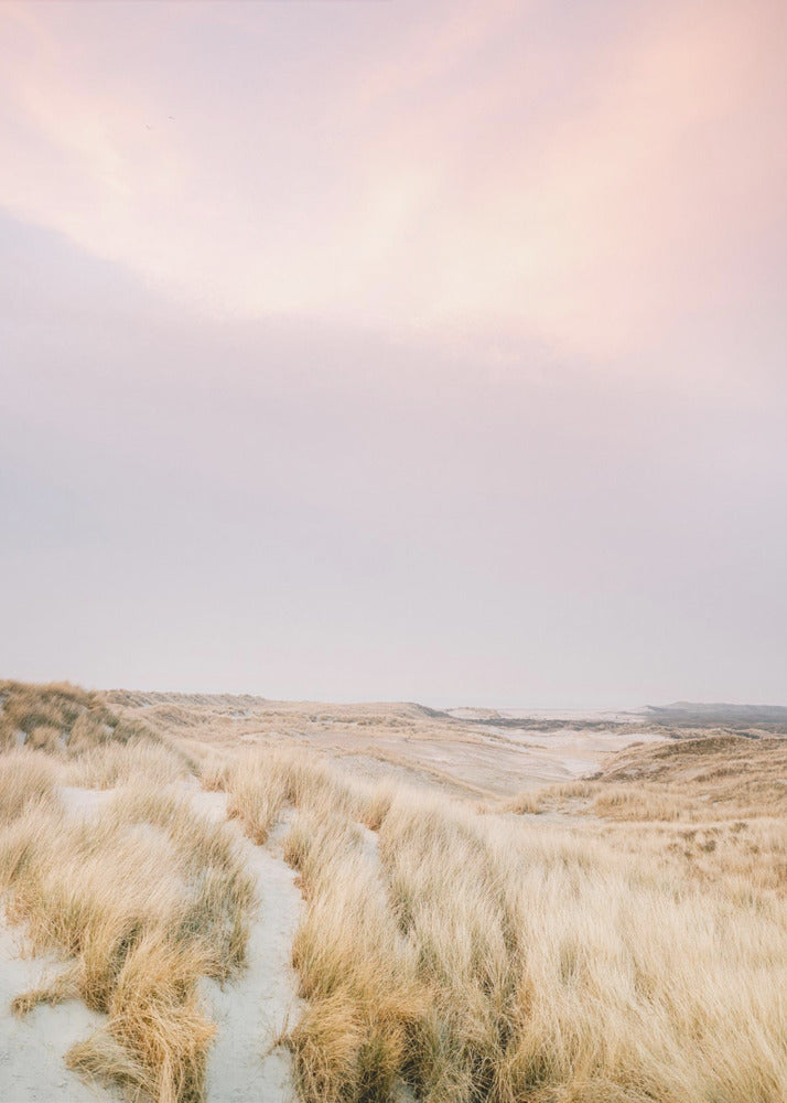 Ameland Dünen 1 | Leinwand