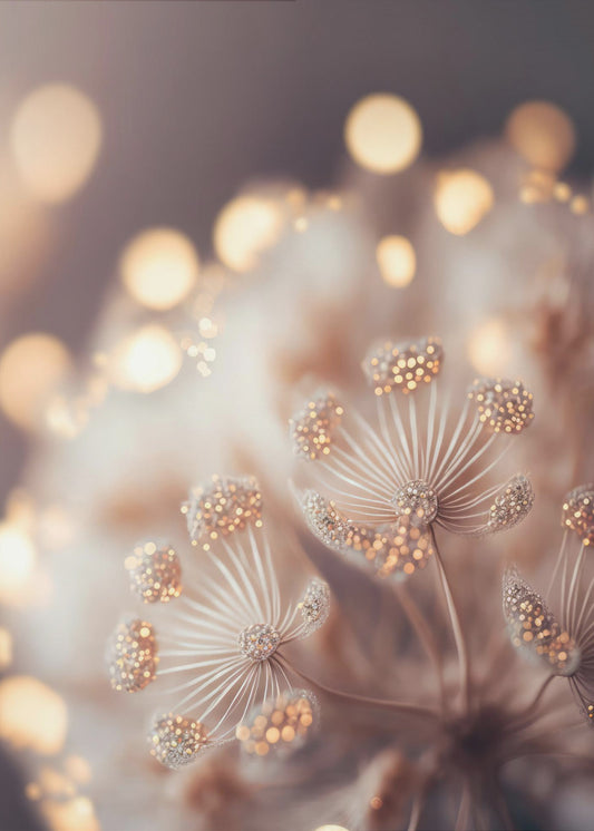 Glowing Dandelion Dream | Canvas