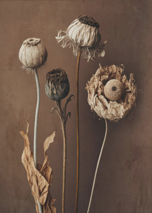 Verblasste Eleganz | Leinwand