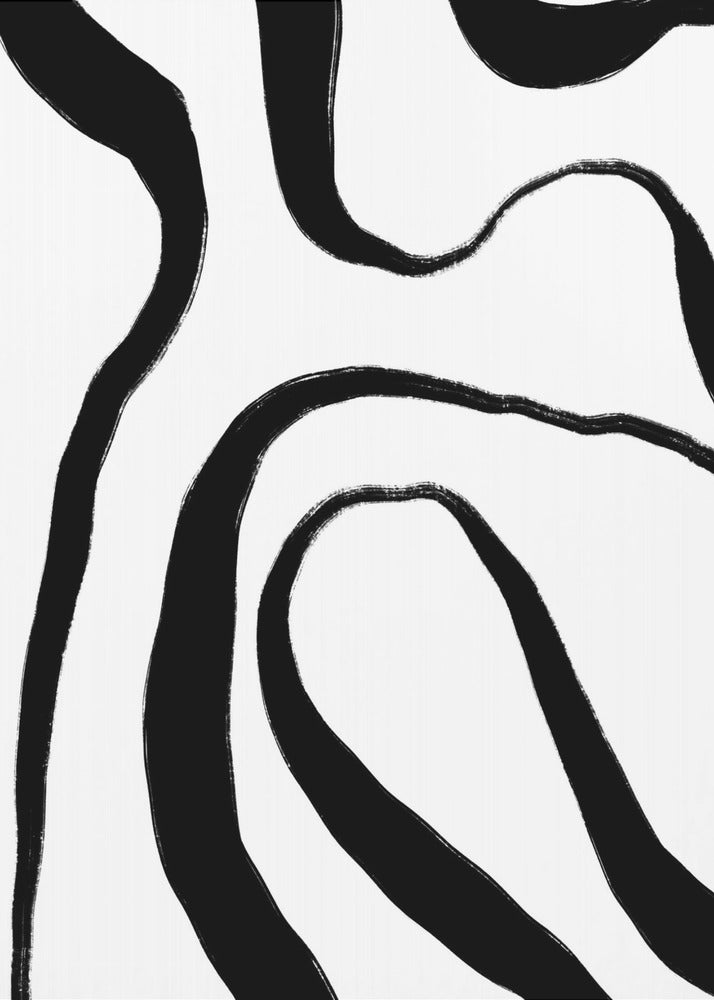 Zebra Flow Harmonie | Poster