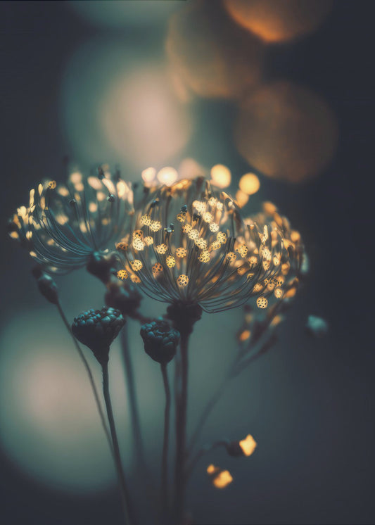 Verzauberte Blüten | Leinwand