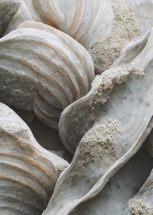 Muschelsymphonie | Leinwand