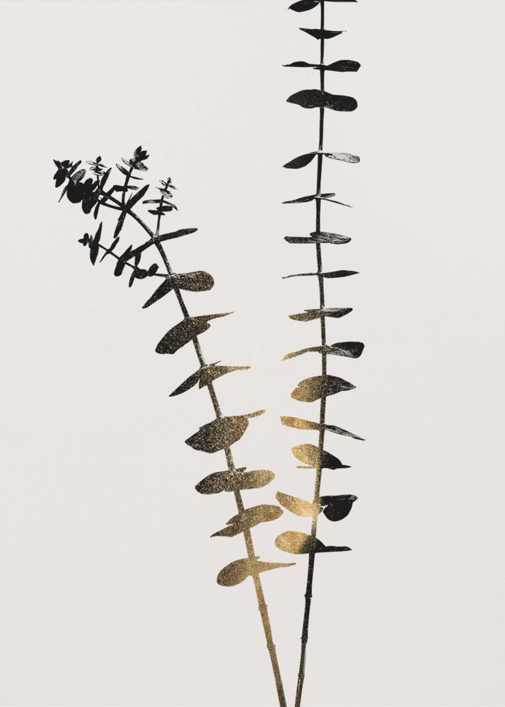 Eukalyptus Dunkelgold | Poster