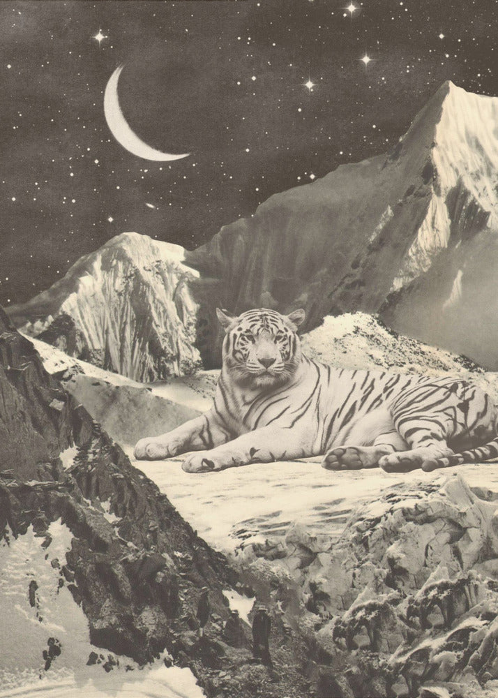 Riesiger weißer Tiger | Leinwand
