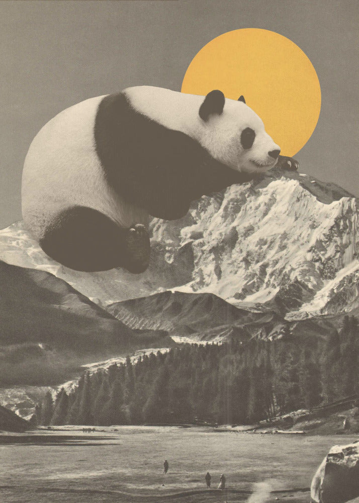 Nickerchen des Großen Pandas | Poster