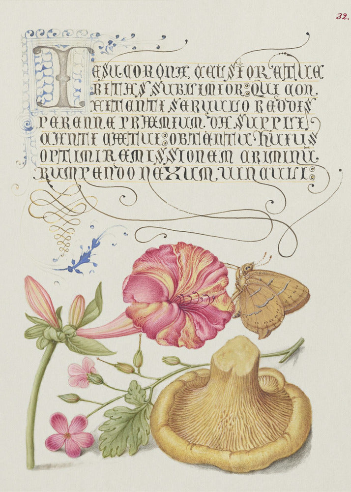 Mira Calligraphiae Monumenta | Leinwand