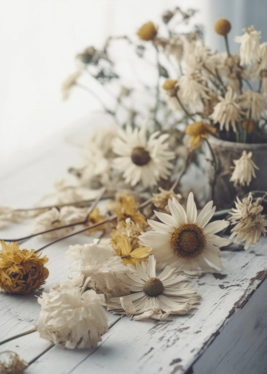 Verblasste Blütenblätter | Poster