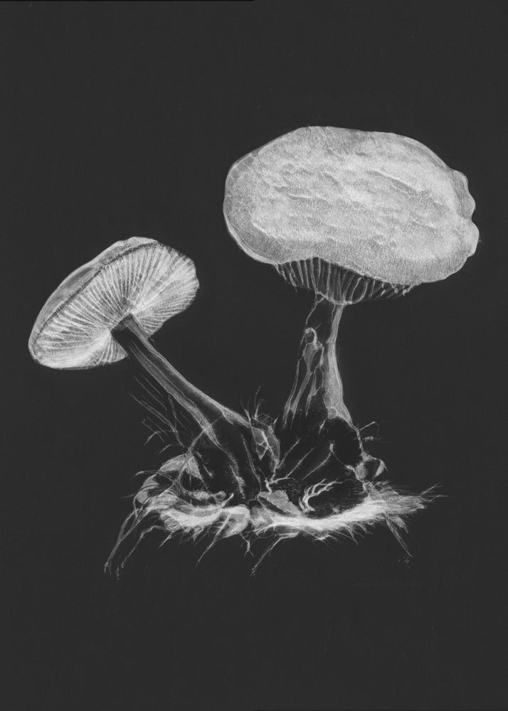 Vintage Violetter Webcap-Pilz, dunkles Schwarzweiß-Poster