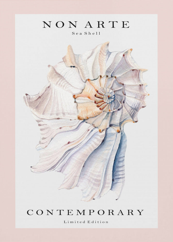 Non Arte Sea Shell no.1 | Poster