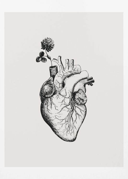 Herzblüte | Poster