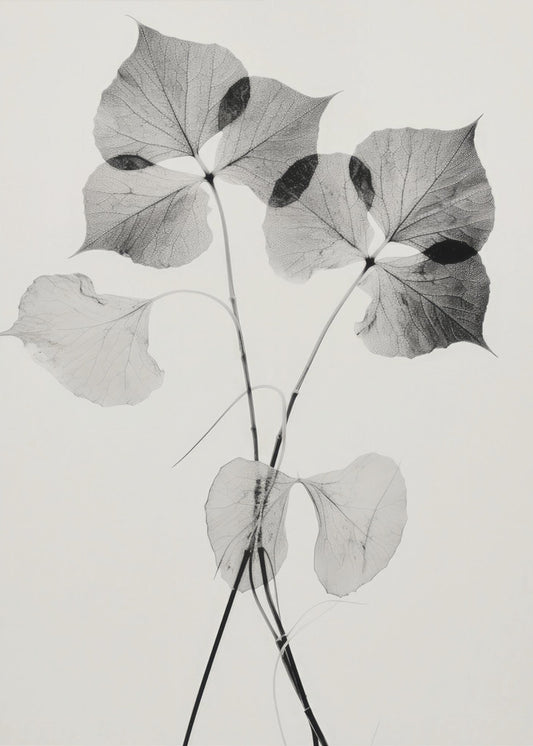 Ethereal Leaves | Poster