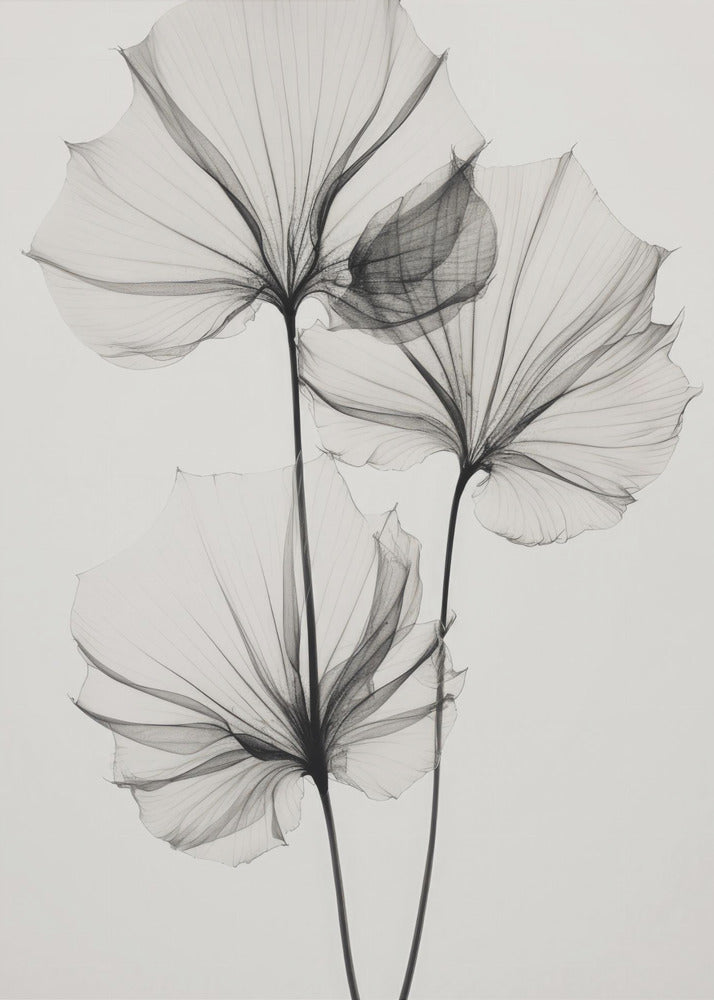 Transparent Botanic Nr. 3 | Leinwand