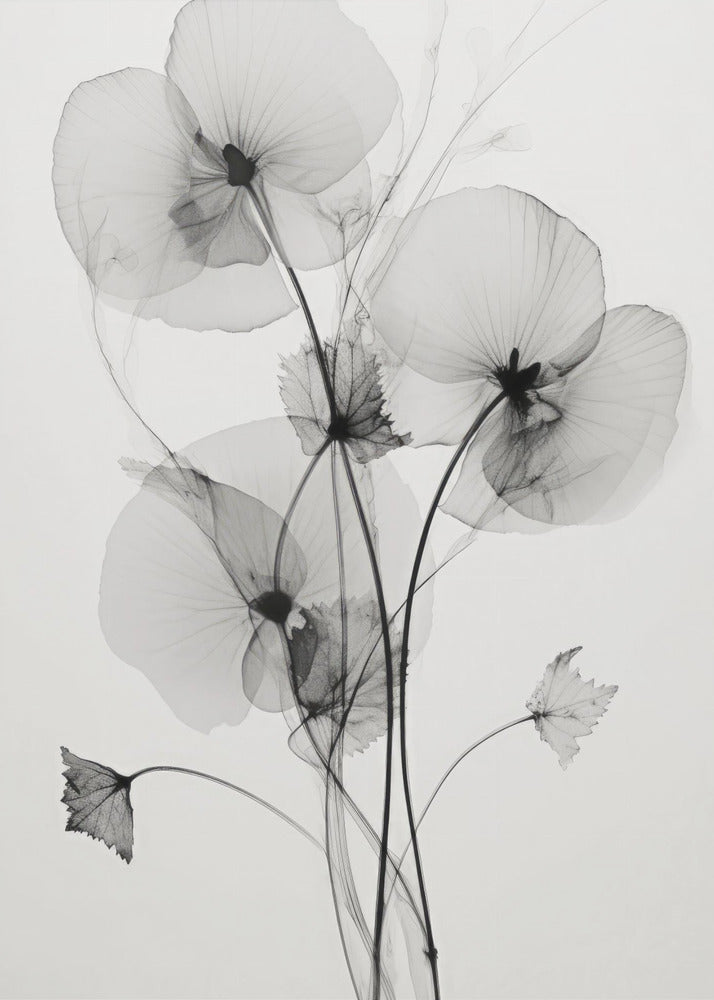Transparent Botanic No1 | Leinwand
