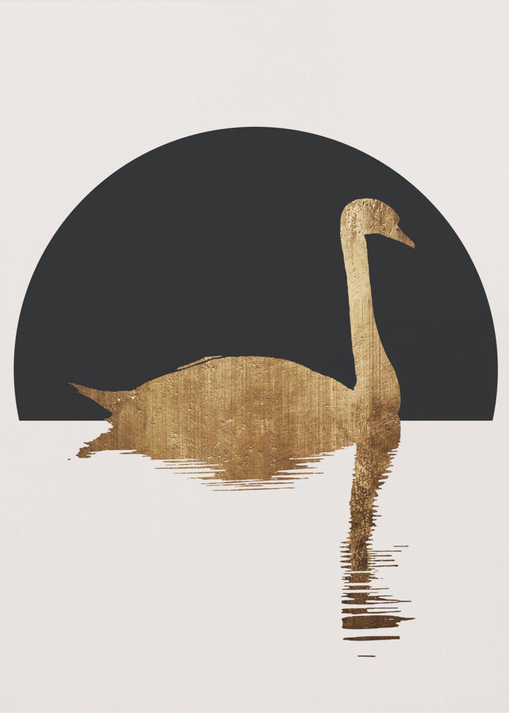 The Swan Black | Poster