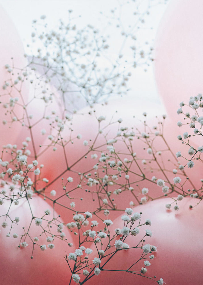 Zarte Blüten und rosa Luftballons | Leinwand