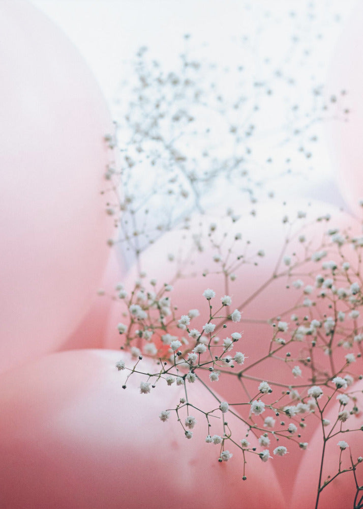 Zarte Ballons mit Blume | Leinwand