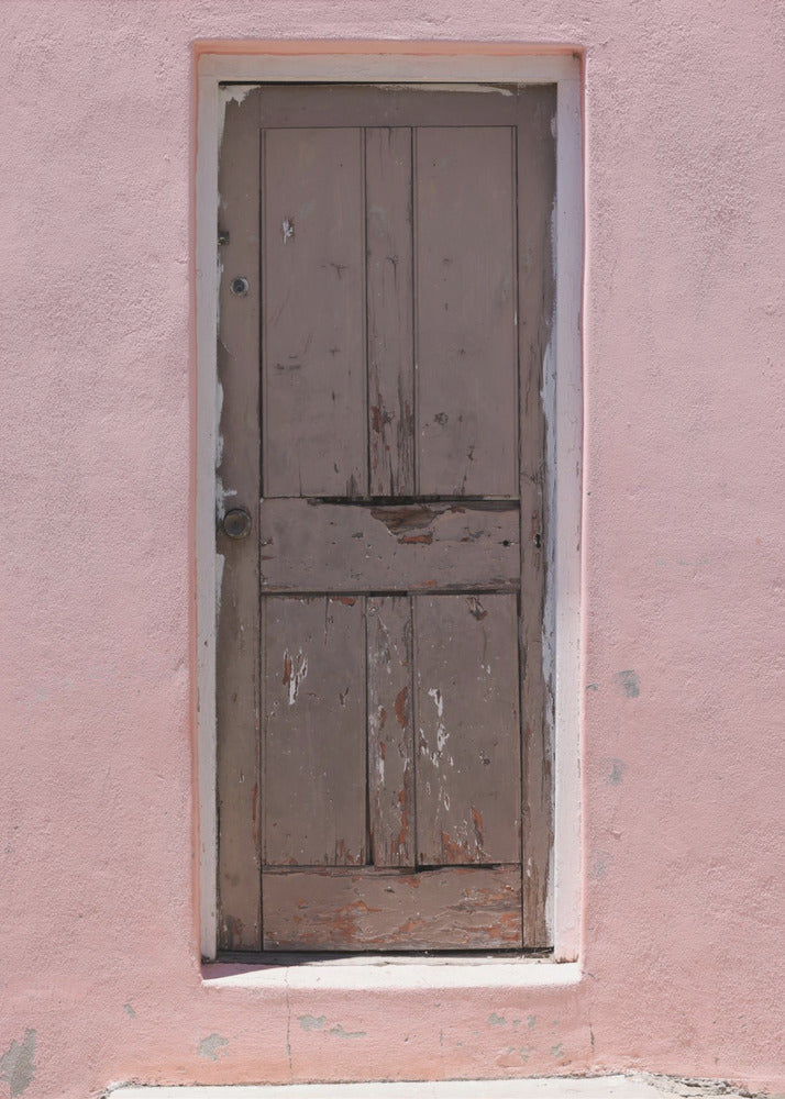 Weathered Pink Door | Canvas
