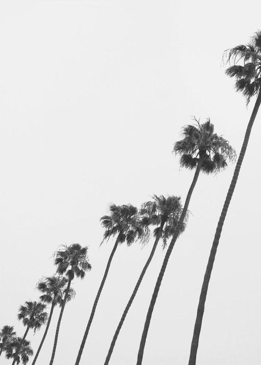 Große Palmenparade | Leinwand