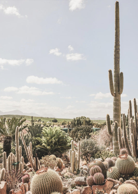 Wüstensymphonie | Leinwand