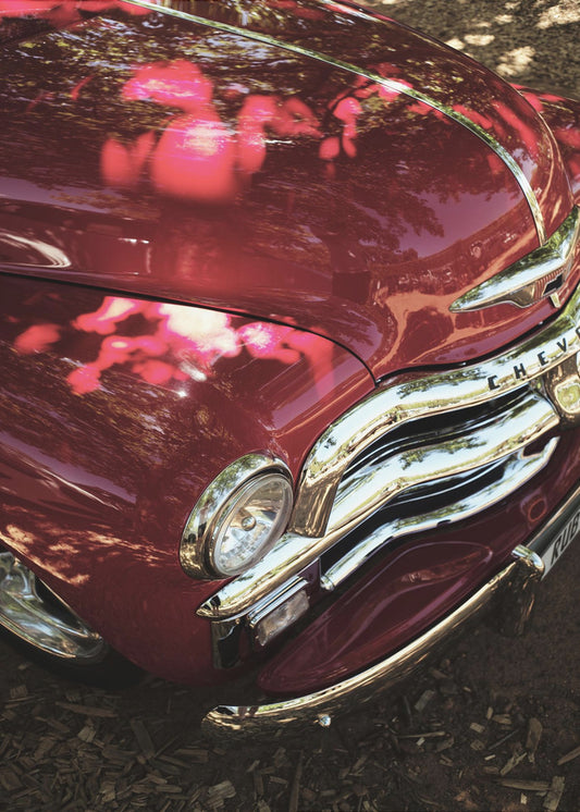 Purpurroter klassischer Glanz | Leinwand