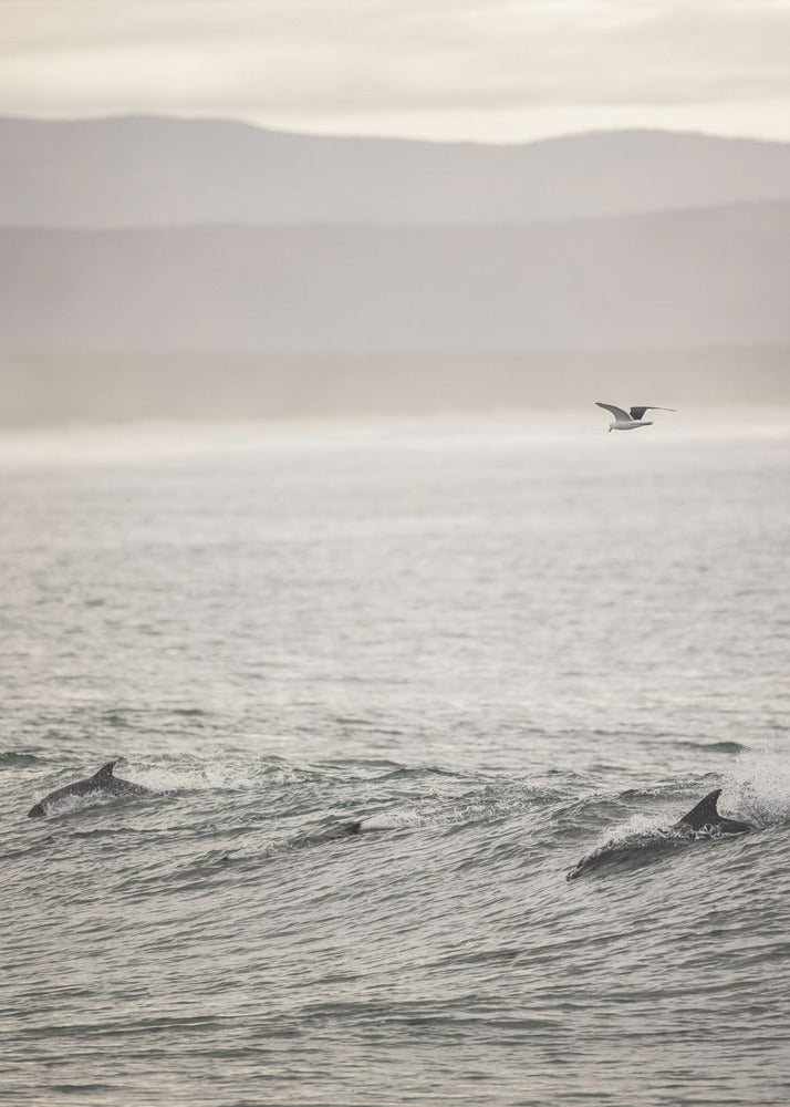 Ocean's Dance | Canvas