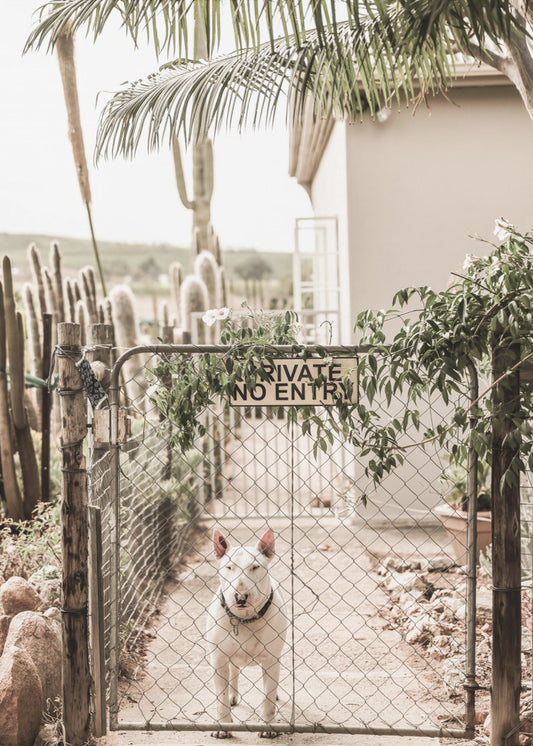 Bewahrende Gelassenheit | Leinwand