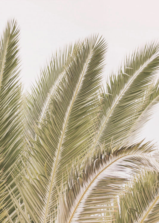 Wedel im Wind | Leinwand