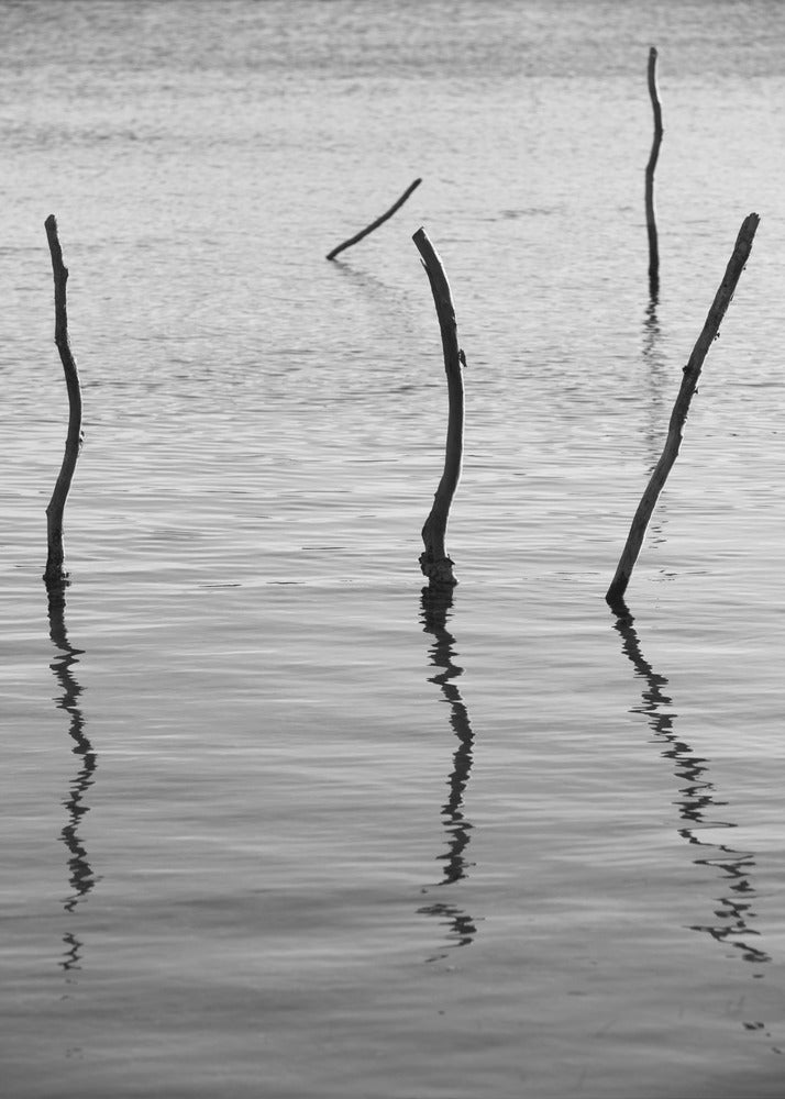 Stille Reflexionen | Poster