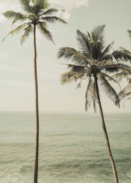 Palmen am Meer | Leinwand