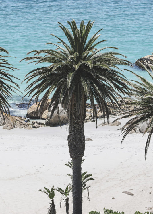 Geheimer Sand | Leinwand