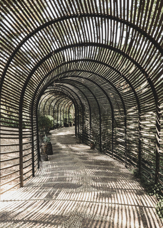 Schattengarten | Leinwand