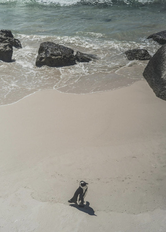 Einsamer Strandspaziergang | Leinwand