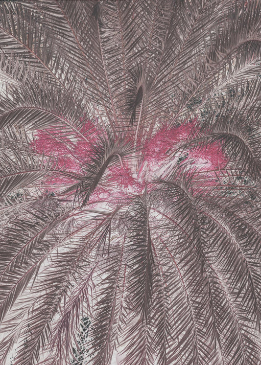 Vivid Portrayal Of Palm Leaves | Poster