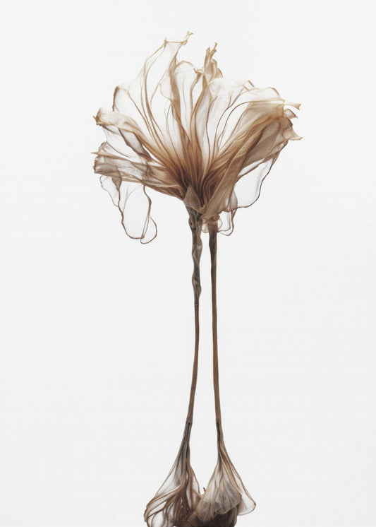 Zarte Laune | Poster