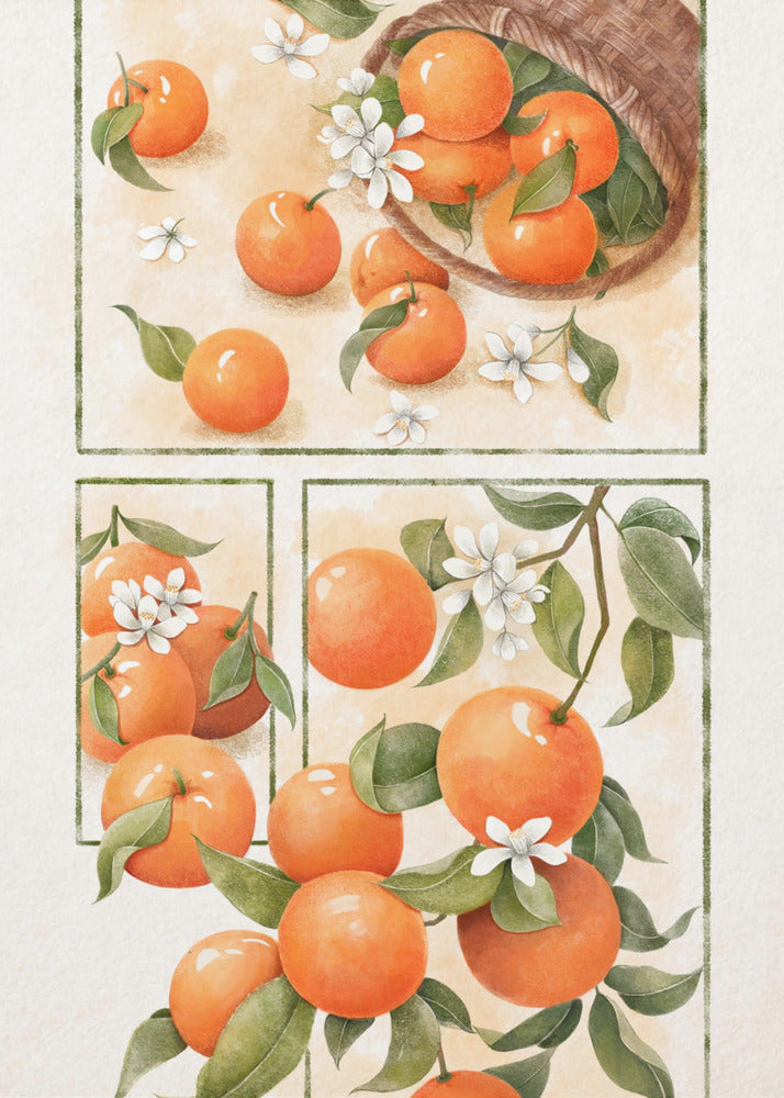 Orangenblüte | Poster