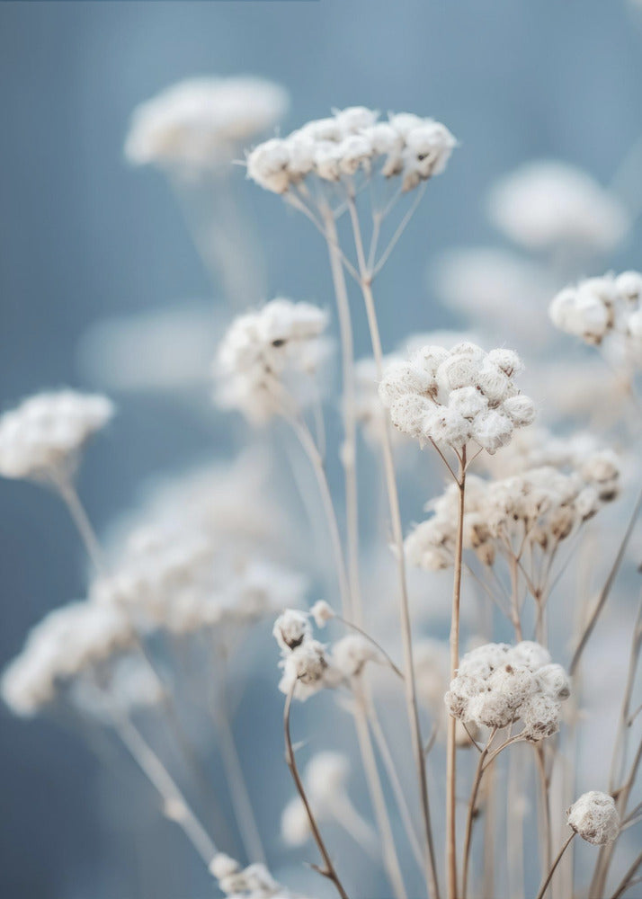 Delicate Whispers | Poster
