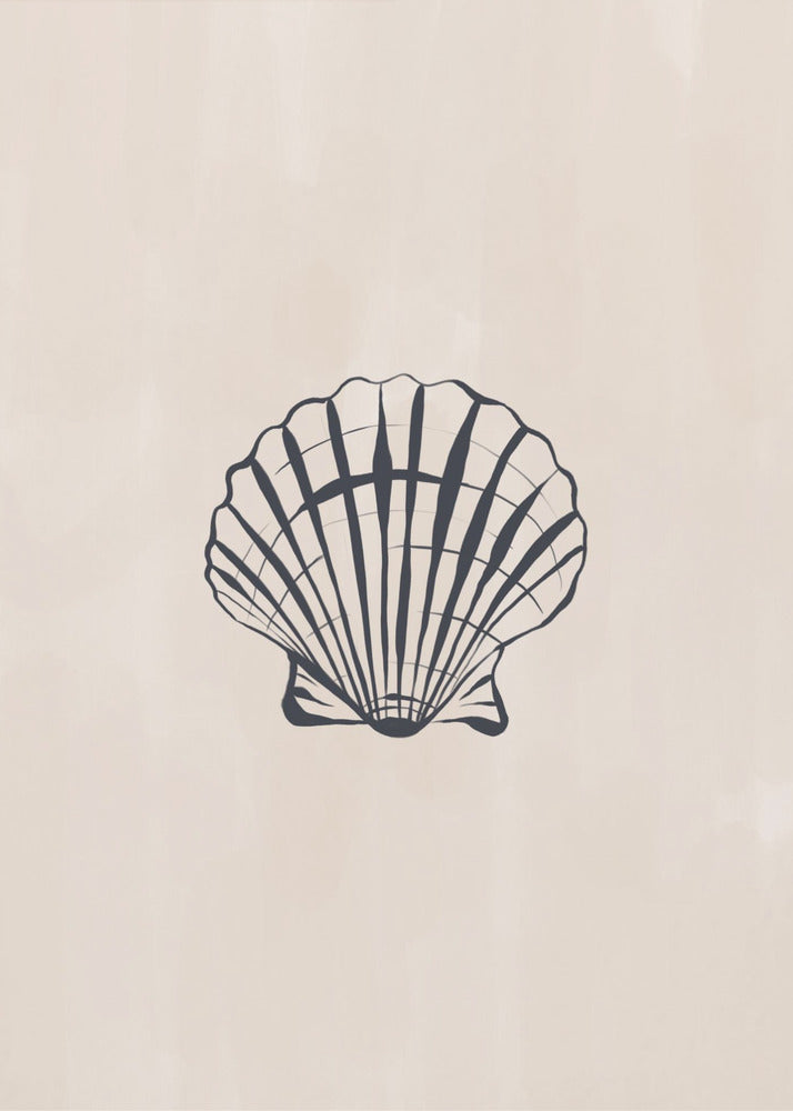 Muschel | Poster