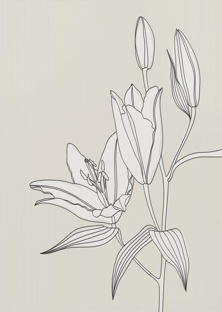 Line Art Lilien in Beige | Leinwand