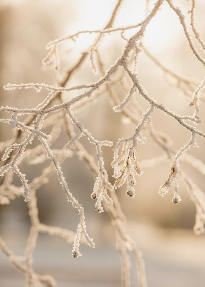 Frostiger Morgen 6 | Poster