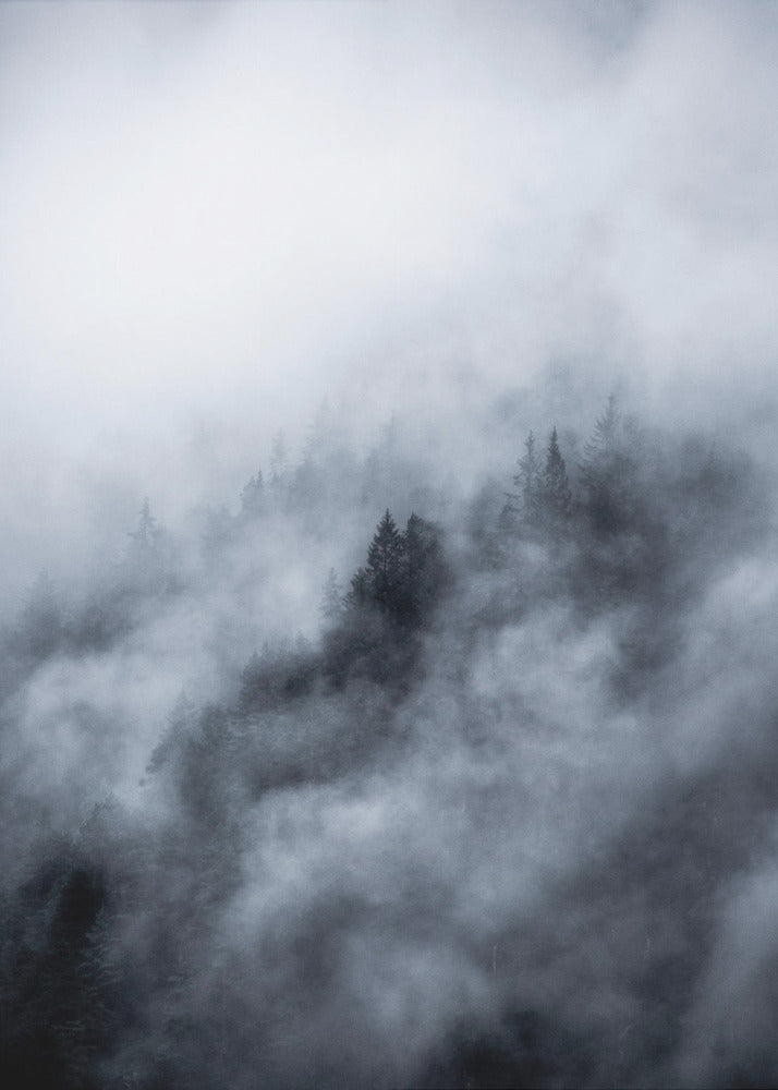 Nebliger Morgen 3 | Leinwand