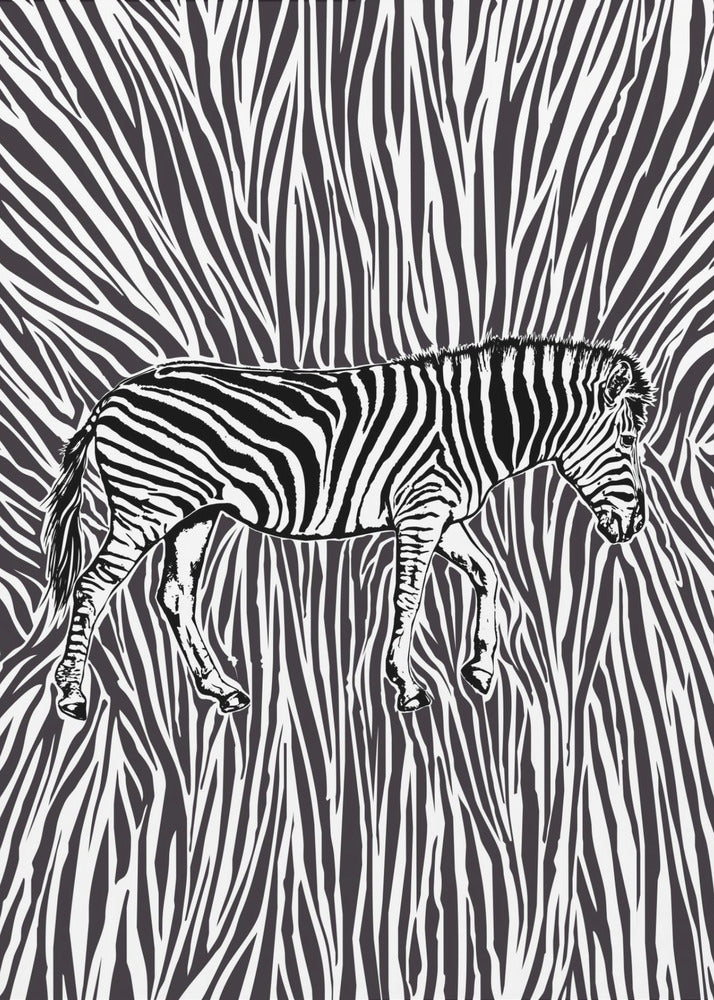 African Zebra striking camouflage | Canvas