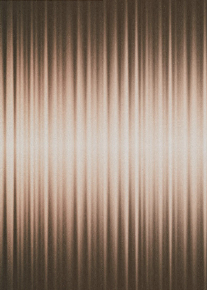 Euphoria - Brown and White | Canvas