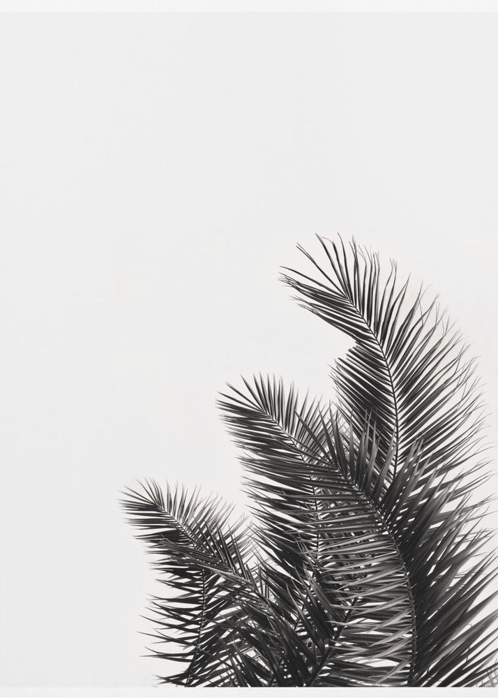 Palmenflüstern | Leinwand