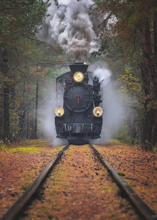 Durch den Herbstwald | Leinwand