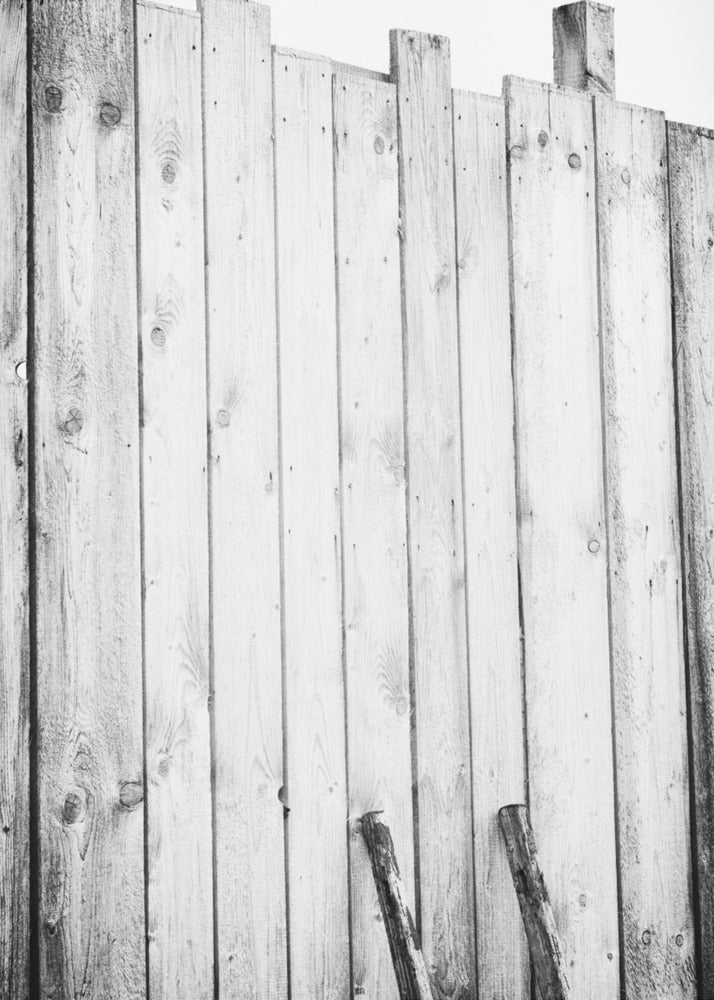 freed | Canvas