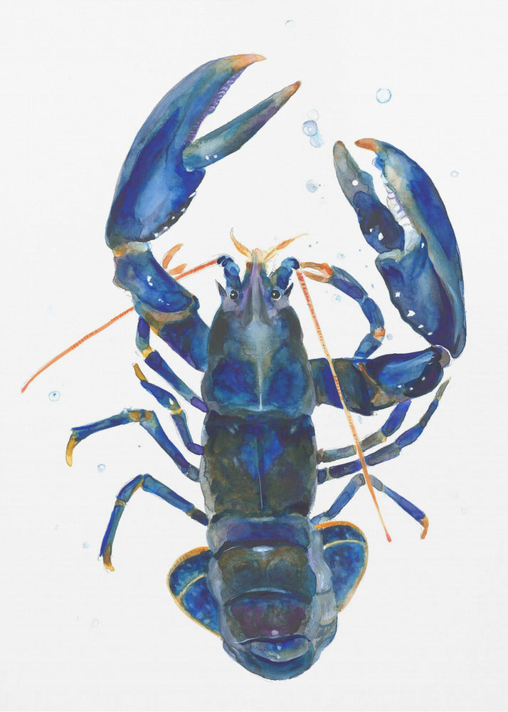 Ein blauer Hummer | Poster